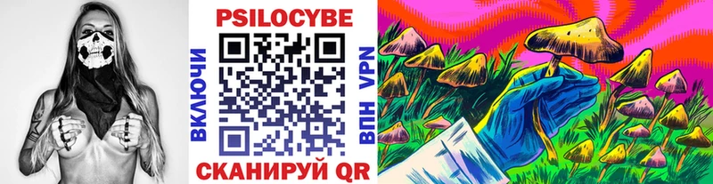 Купить где  Сухиничи  Галлюциногенные грибы прущие грибы 