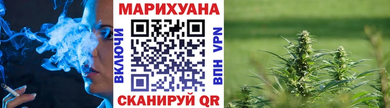 Купить  Сухиничи  Каннабис ГИДРОПОН 